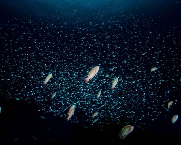 サンセット前の意気込み