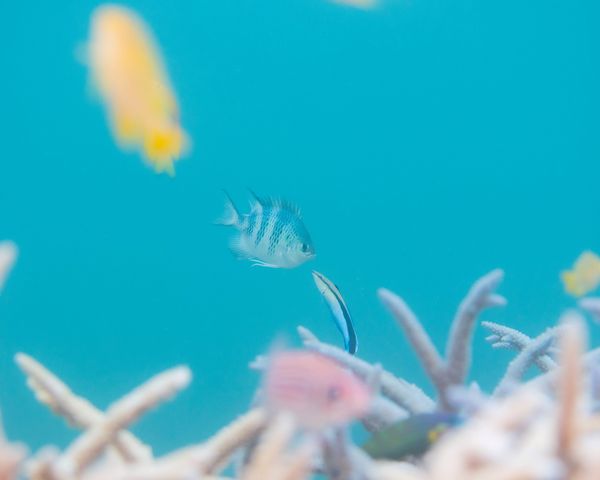 日常