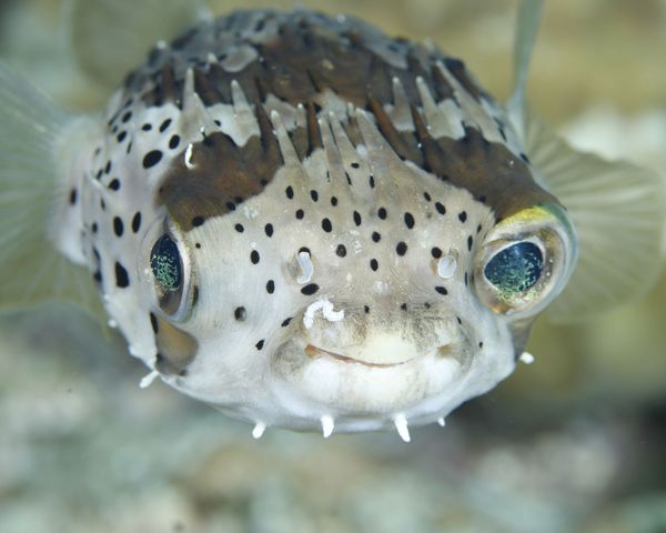 えっ鼻毛出てる？