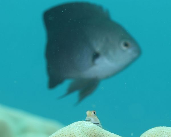 気になる者同士