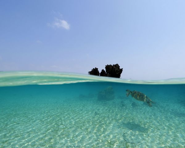 この海に感謝