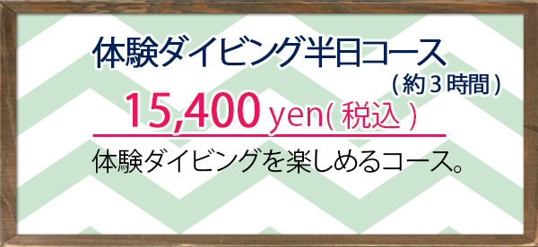 体験ダイビング