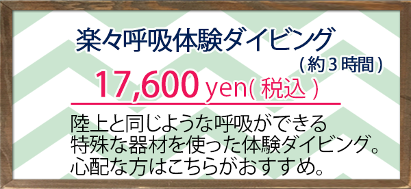 フルフェイスマスク体験ダイビング