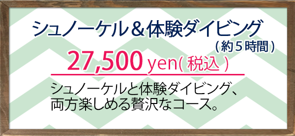 シュノーケルと体験ダイビング